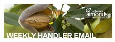 email newsletter header graphic with almond in hull